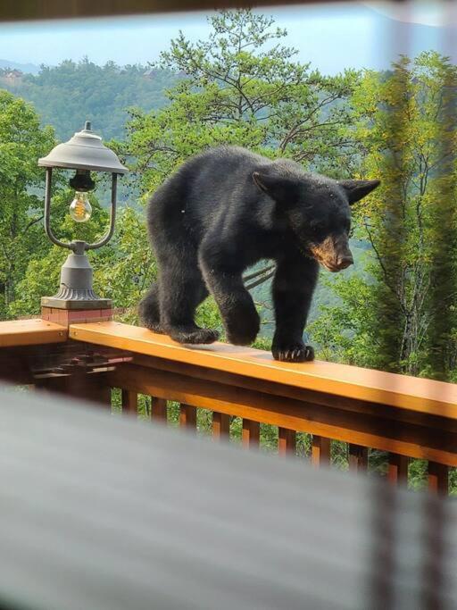 Yogi'S Den: Breathtaking Views! 3 Min To Dollywood, On 1 Acre! Βίλα Sevierville Εξωτερικό φωτογραφία